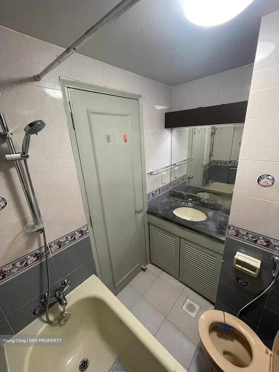 Emerald Park (D3), Condominium #509459301